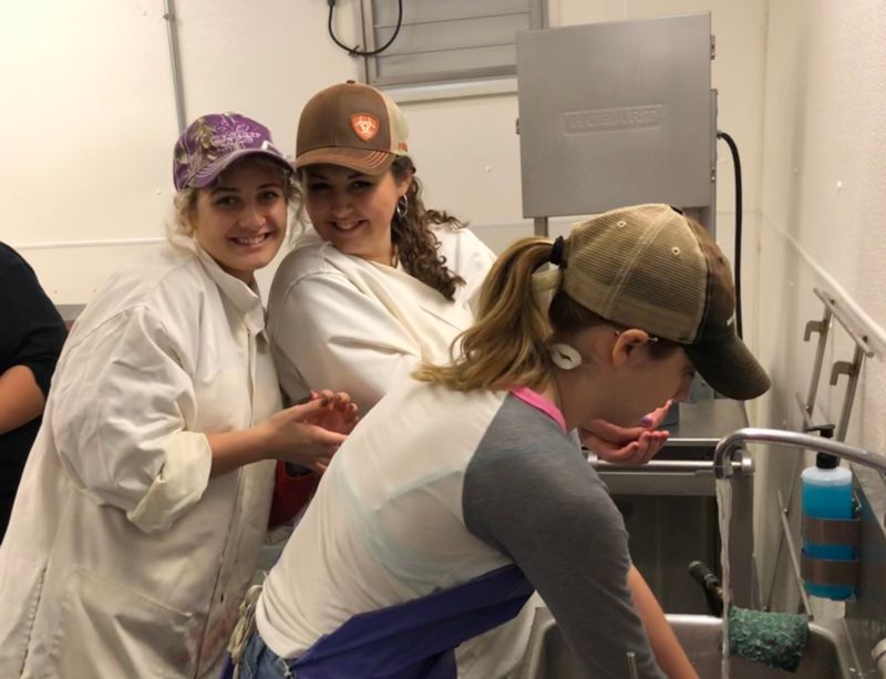 Pork processing students washing hands