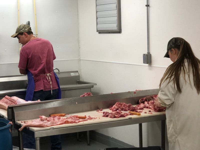 Students processing pork