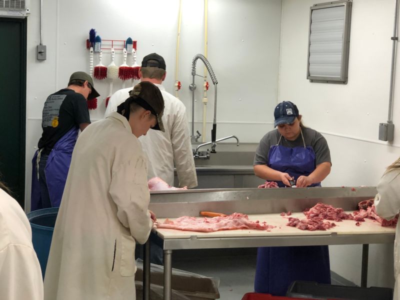 Students processing their pork